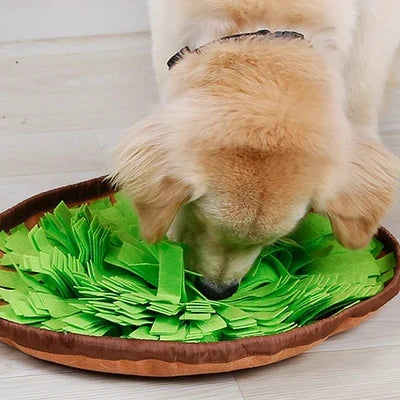 TREAT/FOOD-DISPENSING BALL