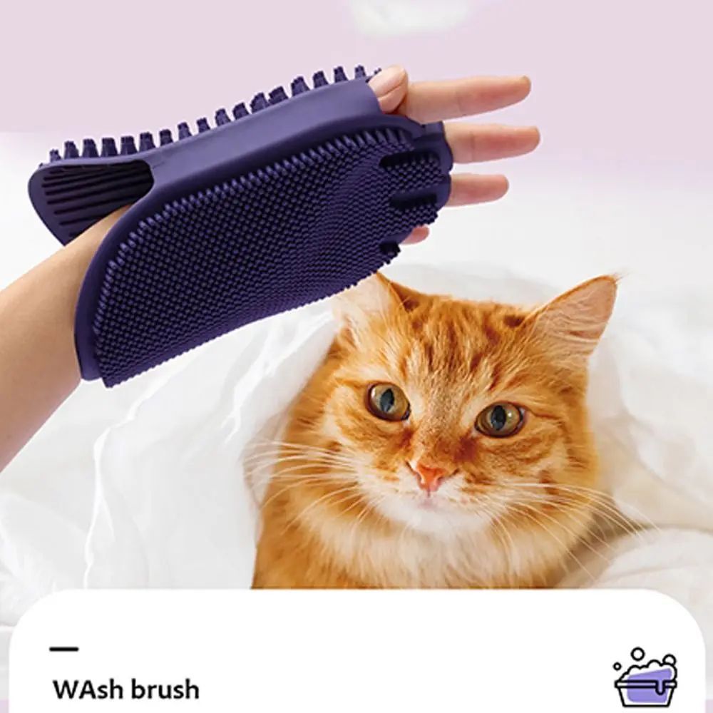 e24893498ddb60f1481a730adf88f8cd